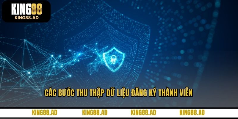Các bước thu thập dữ liệu đăng ký thành viên Các bước thu thập dữ liệu đăng ký thành viên