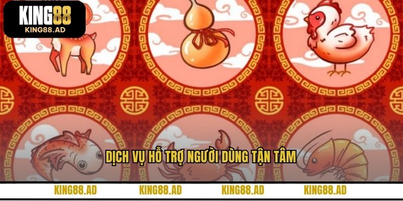 Dịch vụ hỗ trợ người dùng tận tâm Dịch vụ hỗ trợ người dùng tận tâm