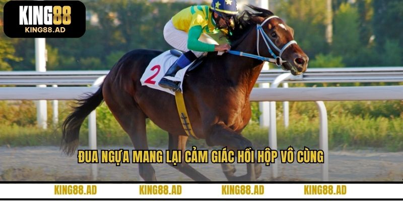 Đua ngựa mang lại cảm giác hồi hộp vô cùng